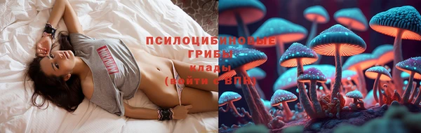 гашик Алексеевка