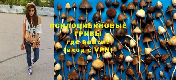 мяу мяу мука Алзамай