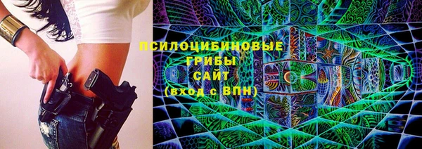 гашик Алексеевка