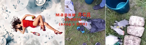 мяу мяу мука Алзамай