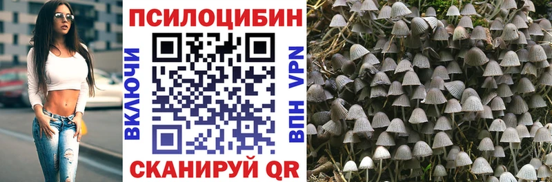 blacksprut   что такое   нарко площадка Telegram  Галлюциногенные грибы Cubensis  Ликино-Дулёво 
